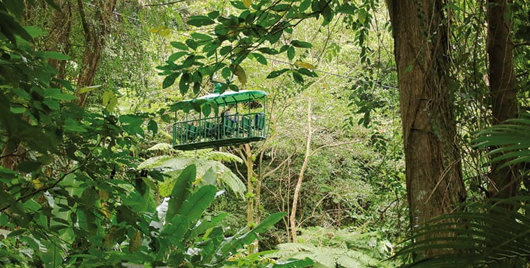 The rainforest aerial tram, St Lucia
